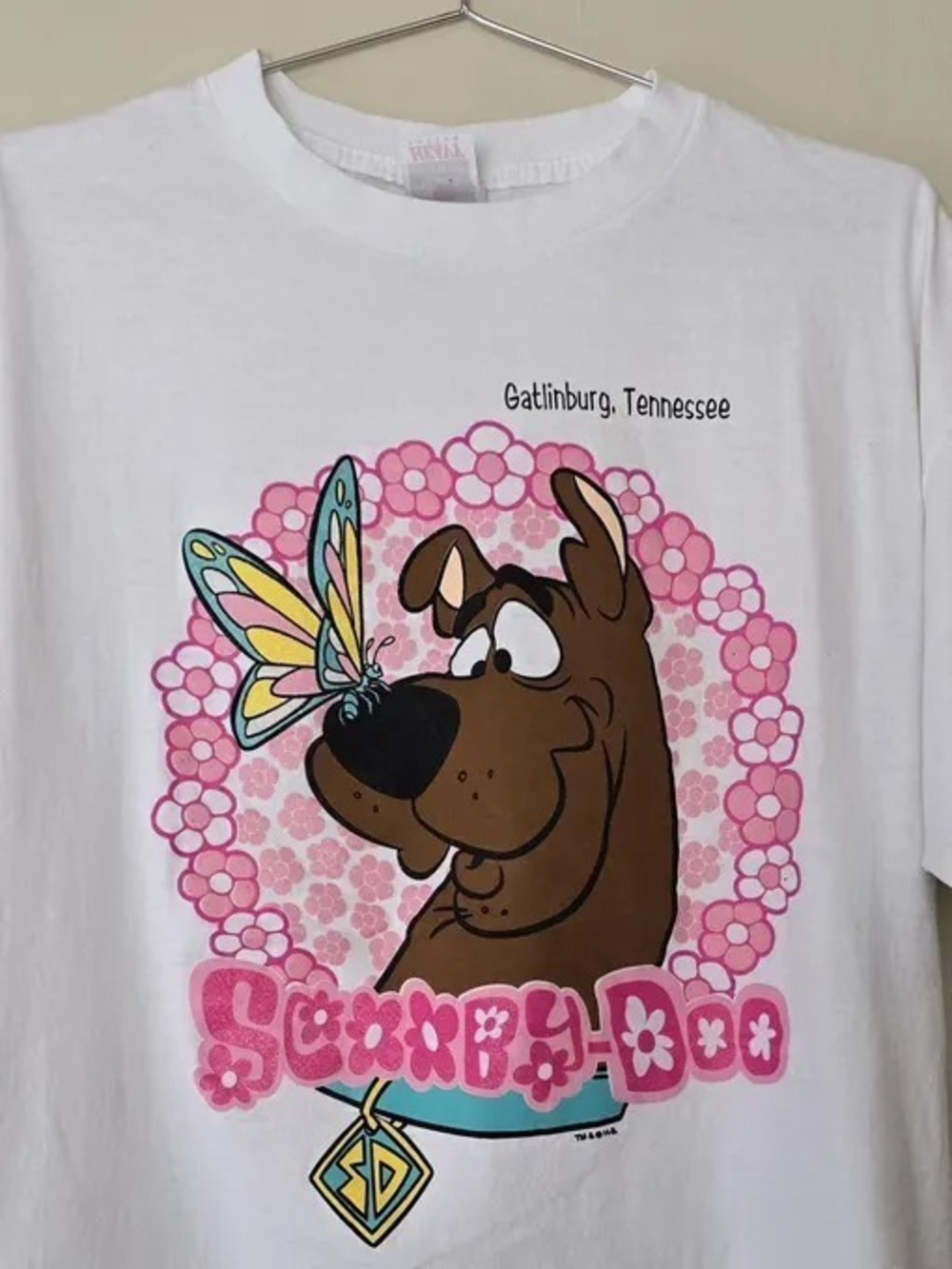 Scooby-Doo Zoinks Aesthetic Tee